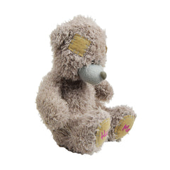 Hug Me Teddy Bear Stuffed Animal For Kids